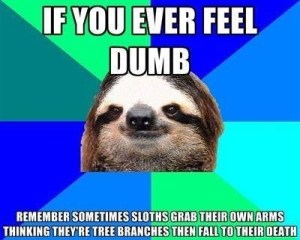Slothdumb